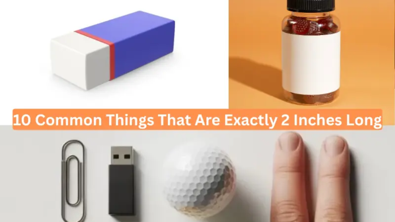 10 Common Things That Are Exactly 2 Inches Long