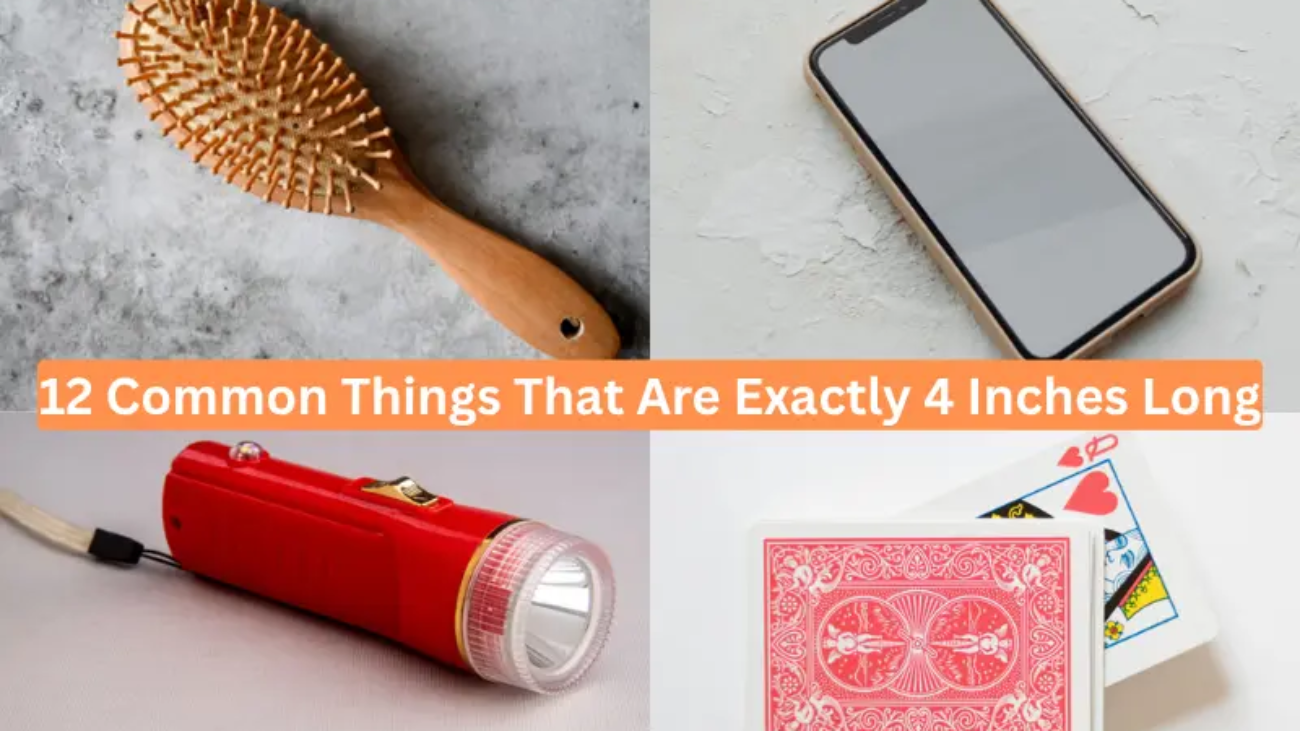 12 Common Things That Are Exactly 4 Inches Long