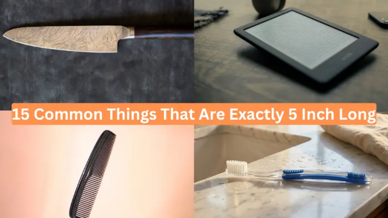 15 Common Things That Are Exactly 5 Inch Long