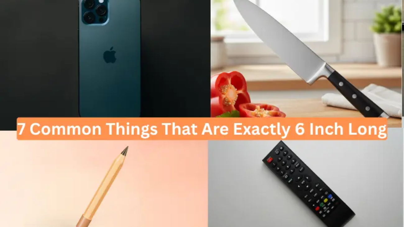 7 Common Things That Are Exactly 6 Inch Long