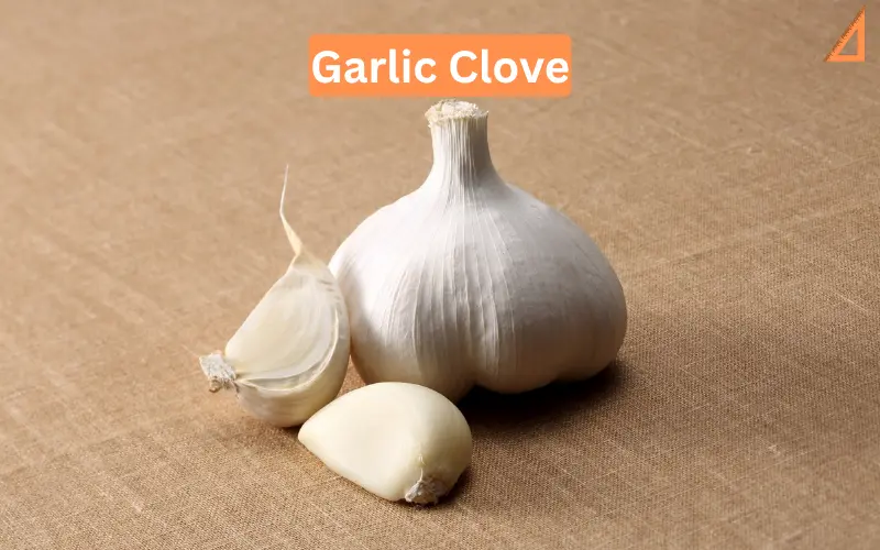 Garlic Clove