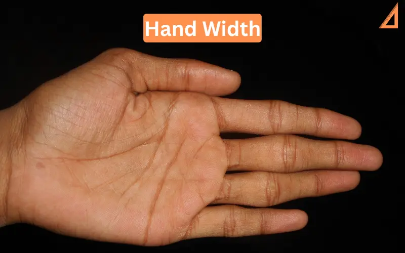 Hand Width