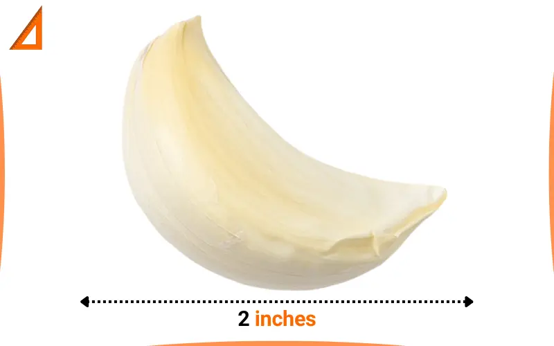 how long is 2 inches