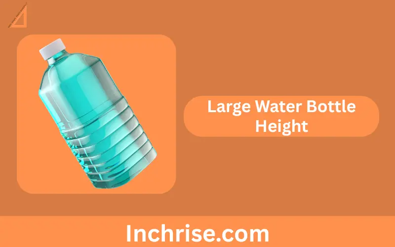 Large Water Bottle Height