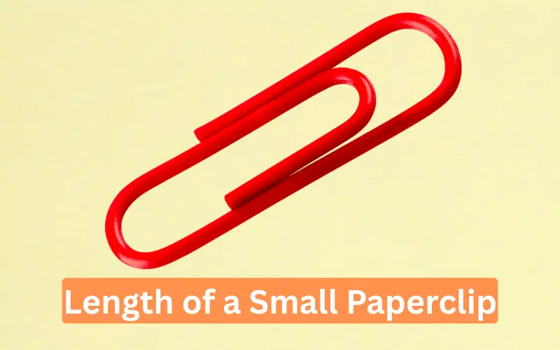 Length of a Small Paperclip