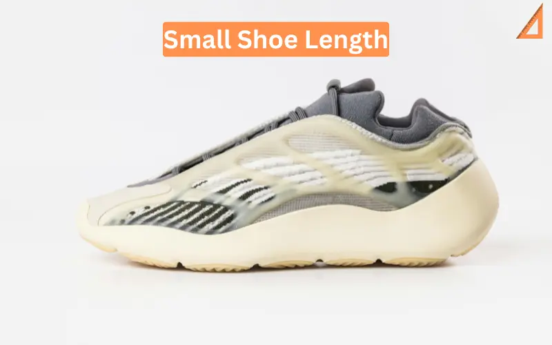 Small Shoe Length