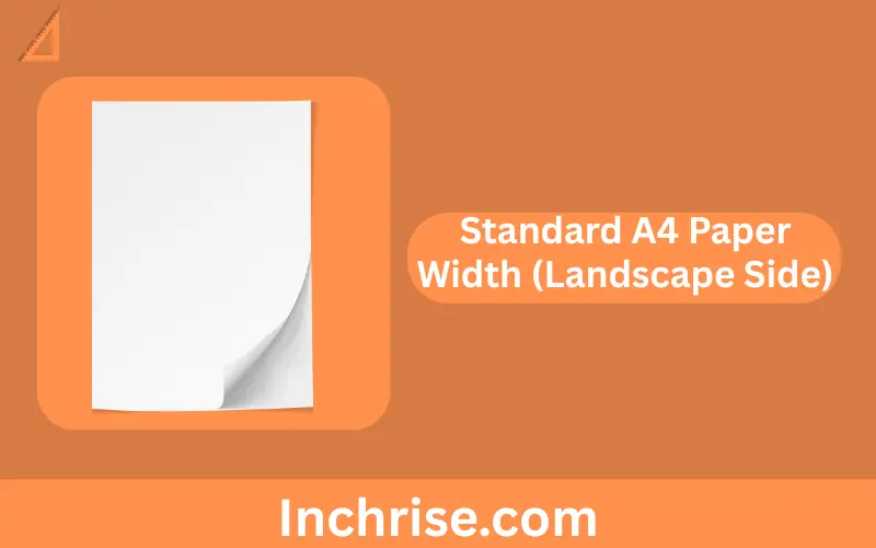 Standard A4 Paper Width (Landscape Side)
