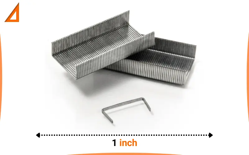 how long is 1 inch