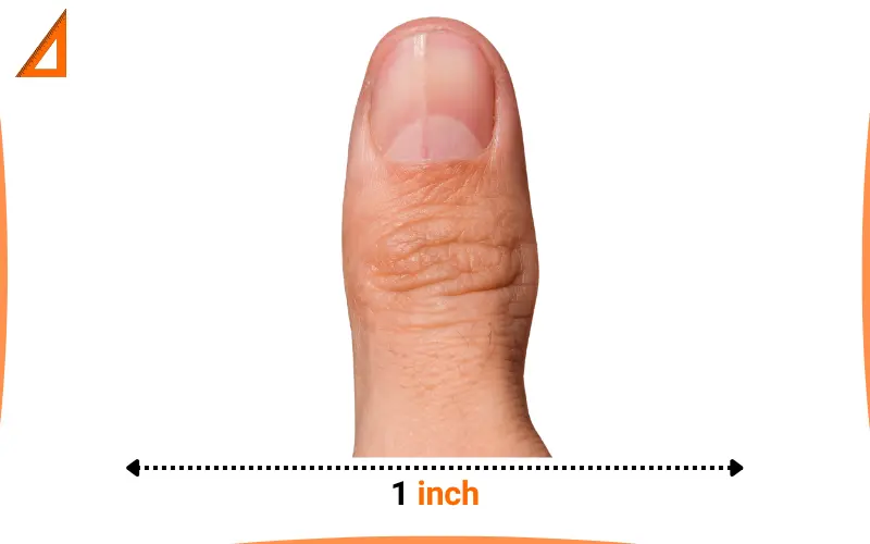 how long is 1 inch