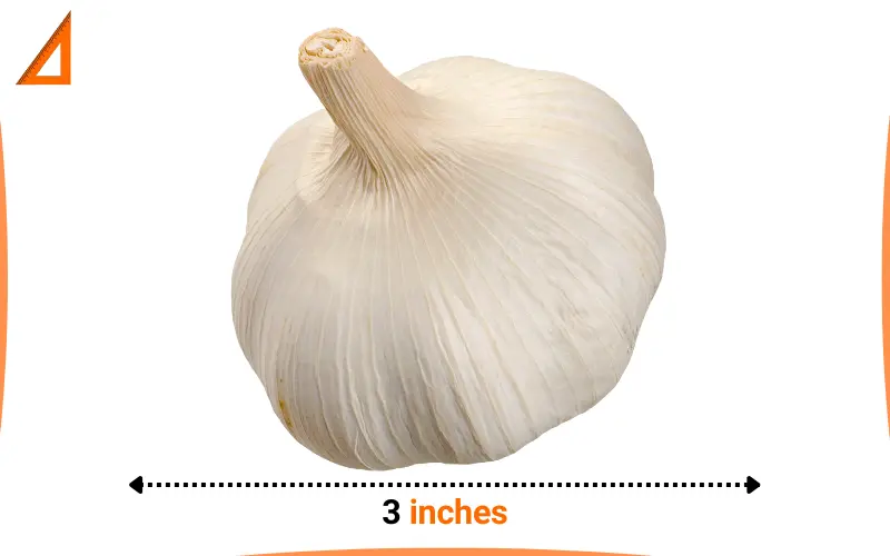how long is 3 inches