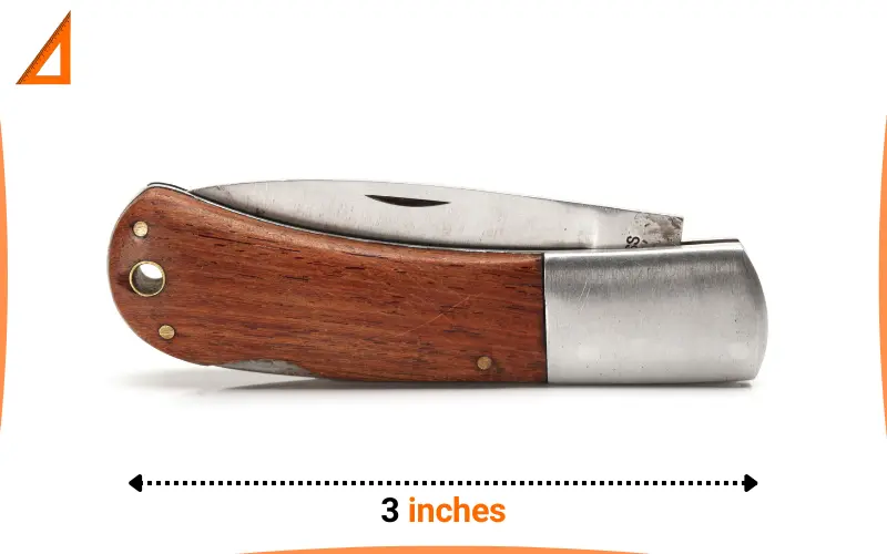 how long is 3 inches