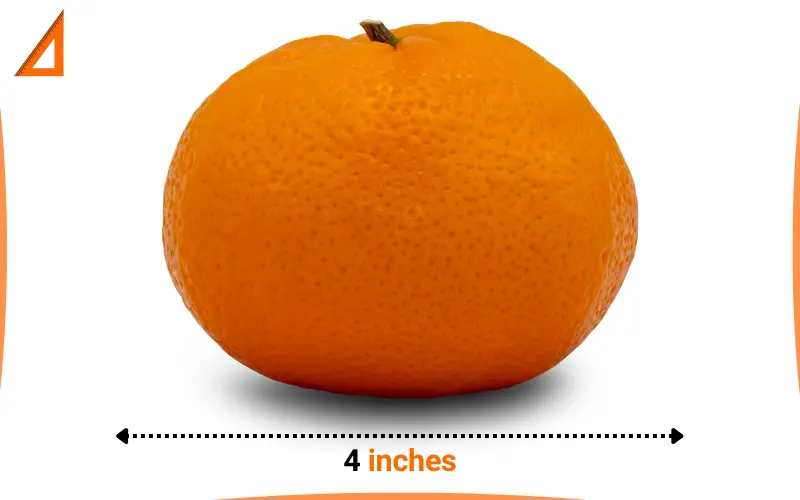 how long is 4 inches