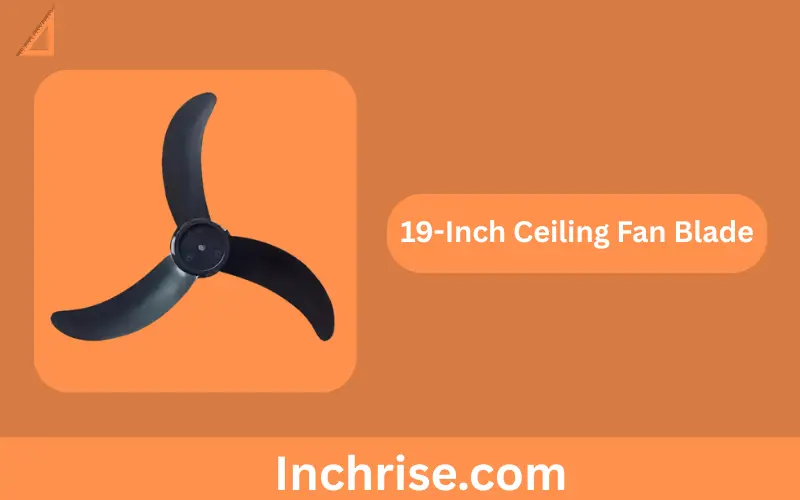 How long is 19 inches