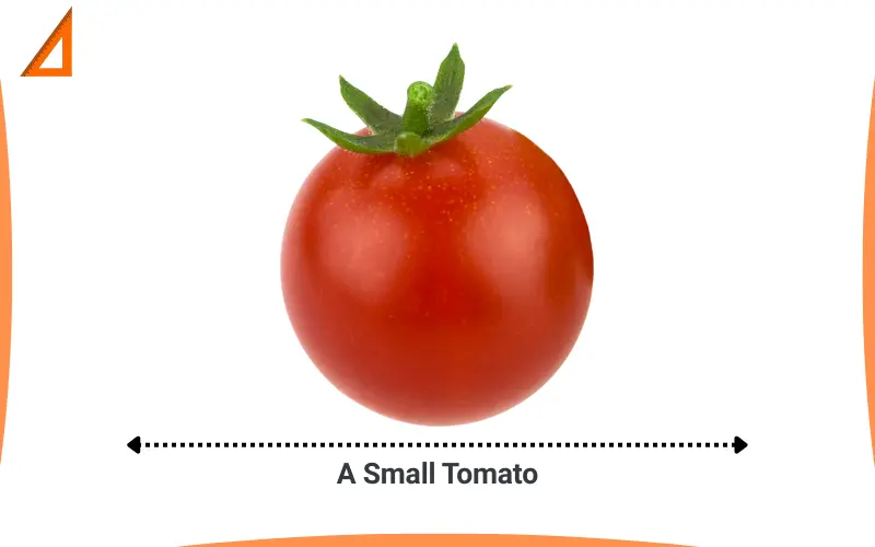 How big is 6 cm