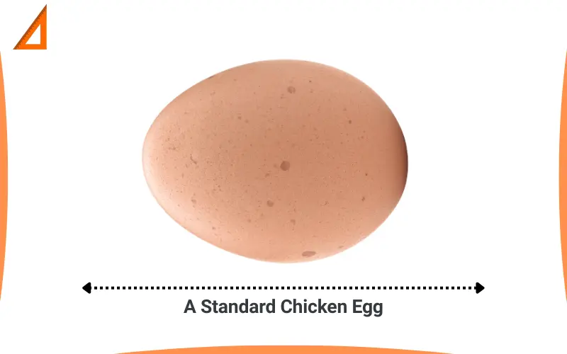 How big is 6 cm