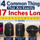 How long is 17 inches