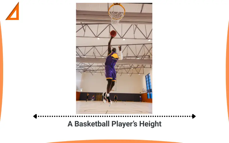 How long is 2 meters