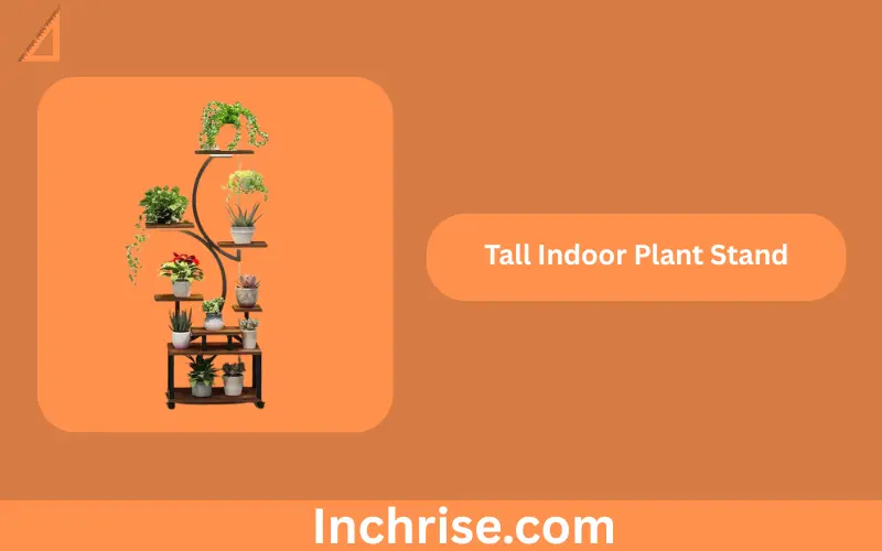 How tall is 40 inches