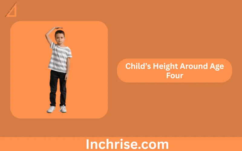 How tall is 40 inches