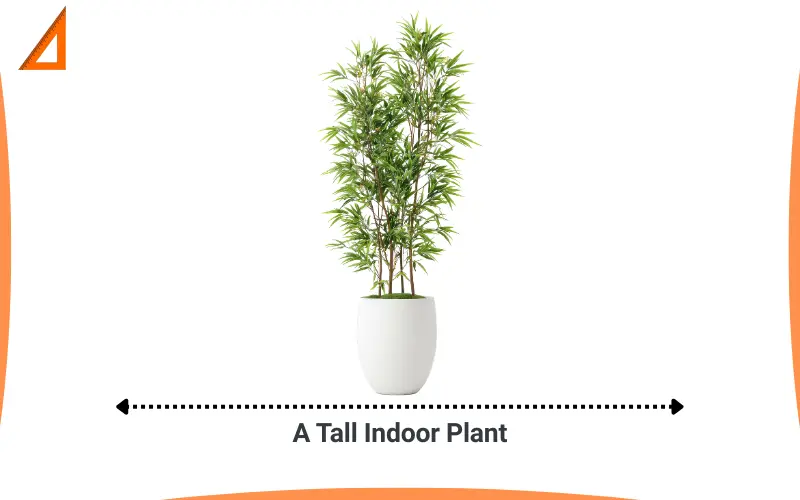 How tall is 60 inches