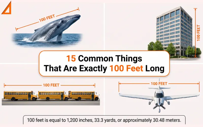How long is 100 feet