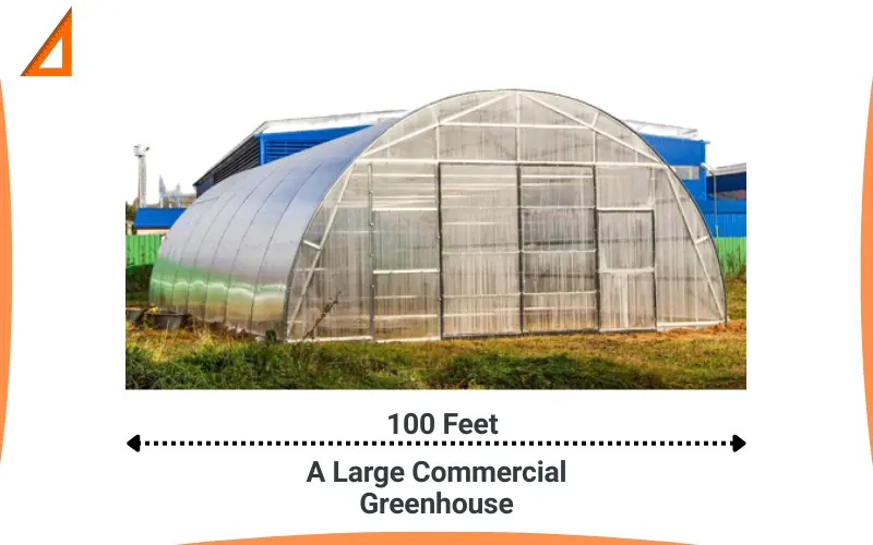 How long is 100 feet