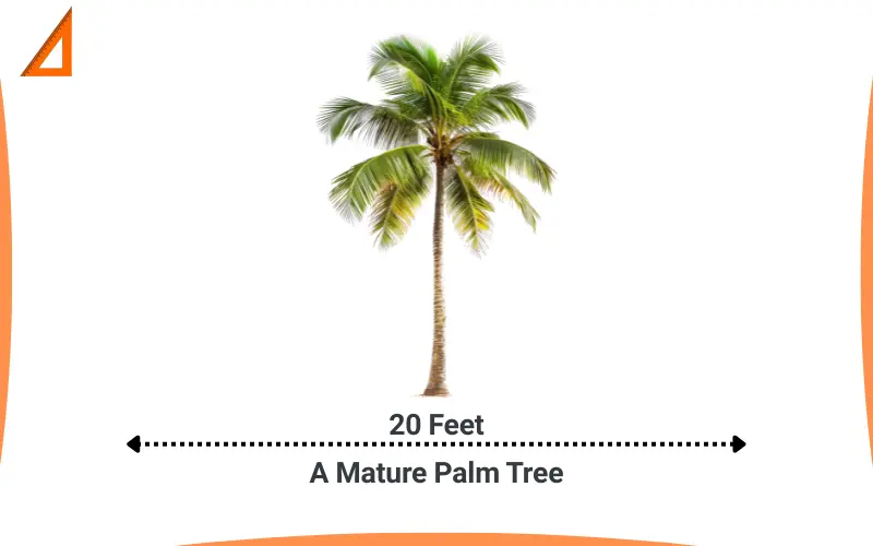 How long is 20 feet