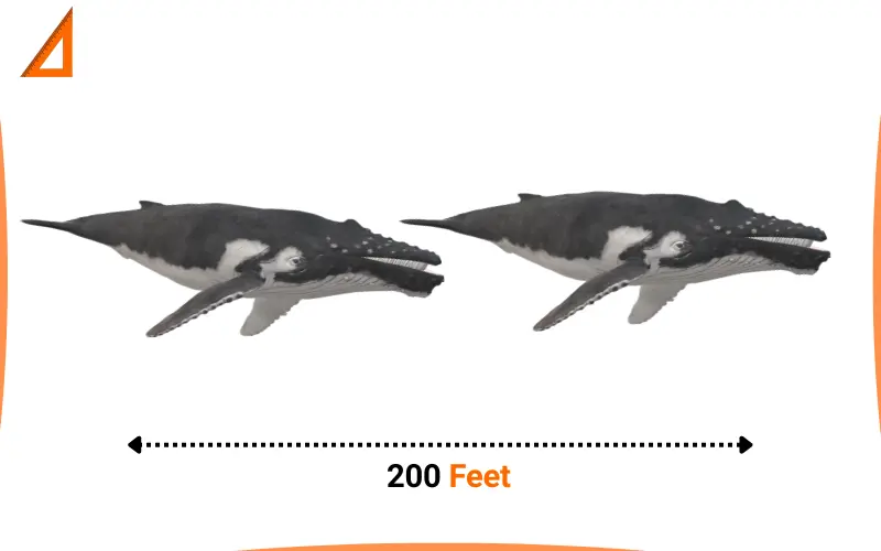 How long is 200 feet