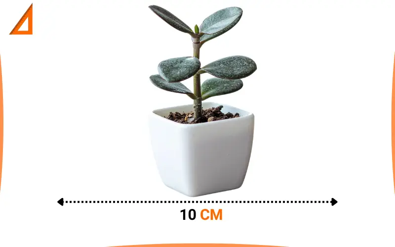 how big is 10 cm