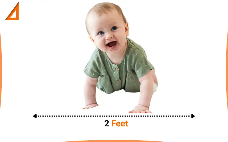how long is 2 feet