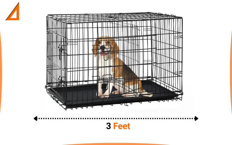 how long is 3 feet