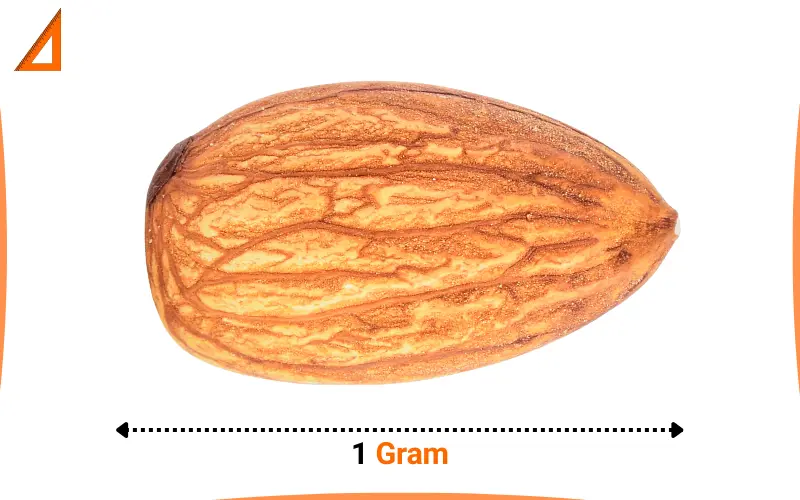 what weighs 1 gram