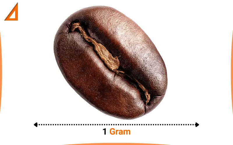 what weighs 1 gram