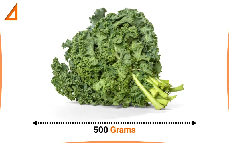 what weighs 500 grams