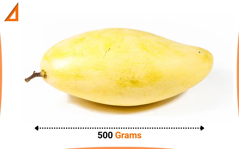 what weighs 500 grams